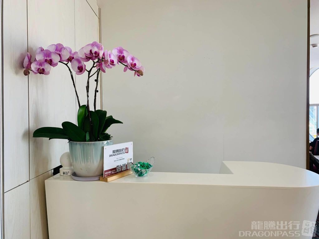 Бизнес-зал Premier Lounge в аэропорту Сямынь Гаоци (XMN)