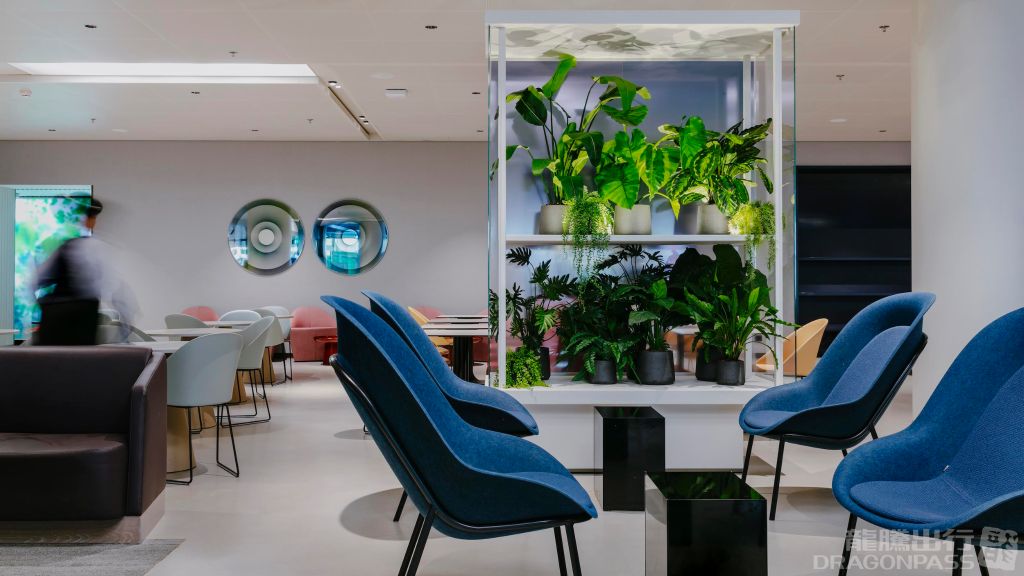 Бизнес-зал Aspire Lounge (No.26) в аэропорту Схипхол (AMS)