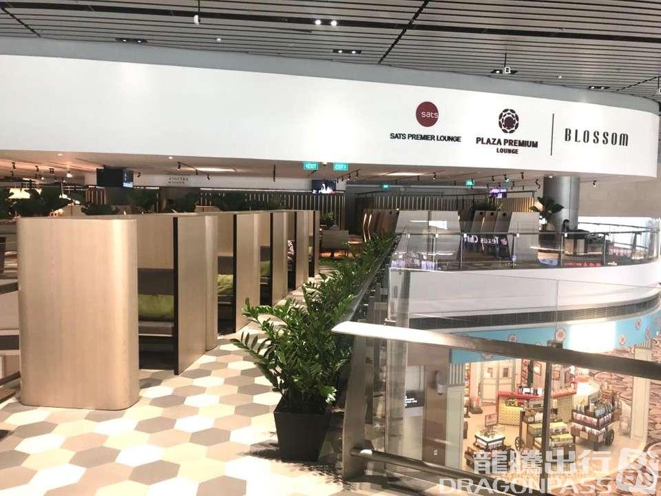 Бизнес-зал Blossom - Sats & Plaza Pemium Lounge в аэропорту Чанги (SIN)