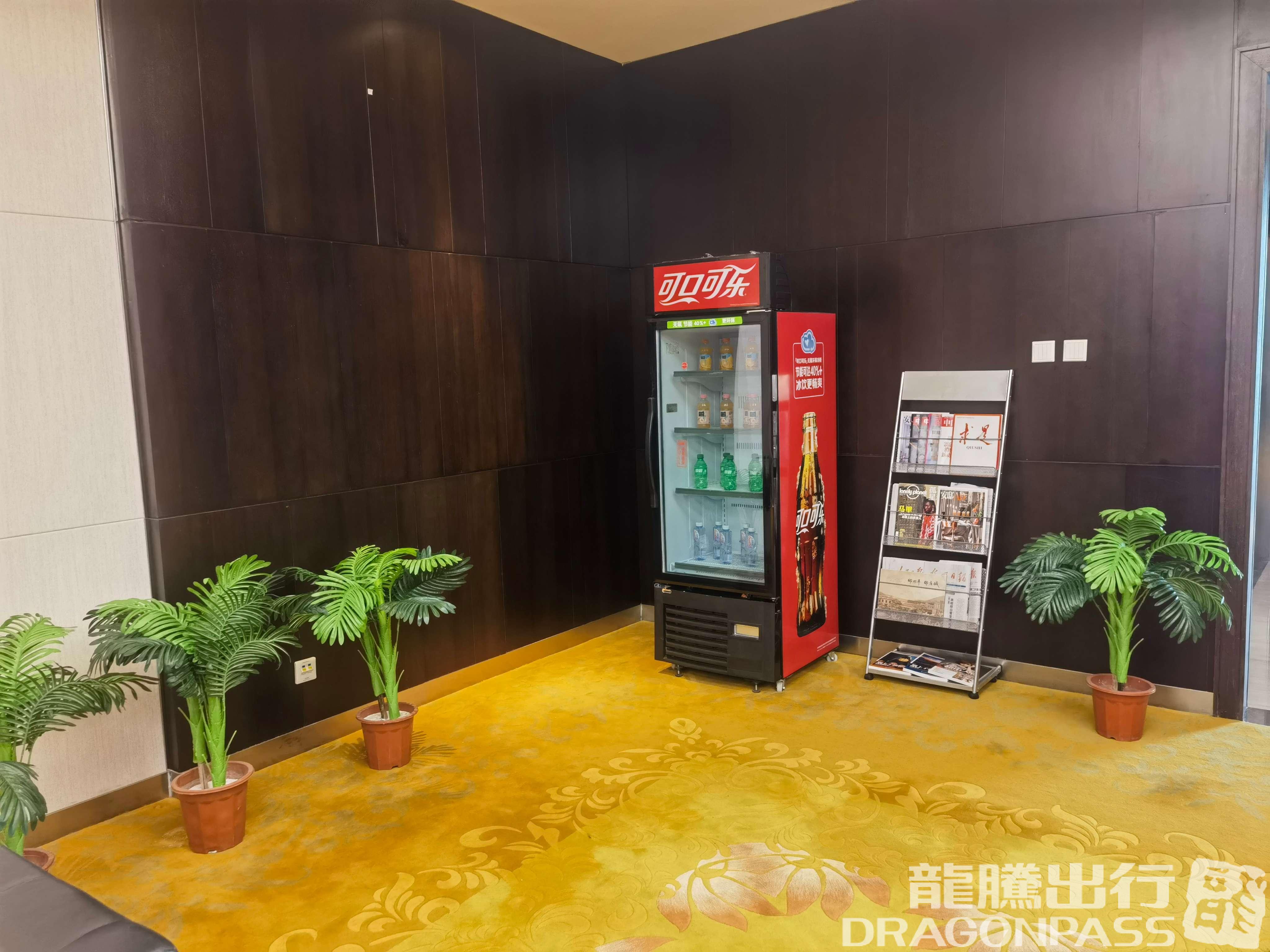 Бизнес-зал VIP Lounge в аэропорту Аэропорт Уланчаб (UCB)