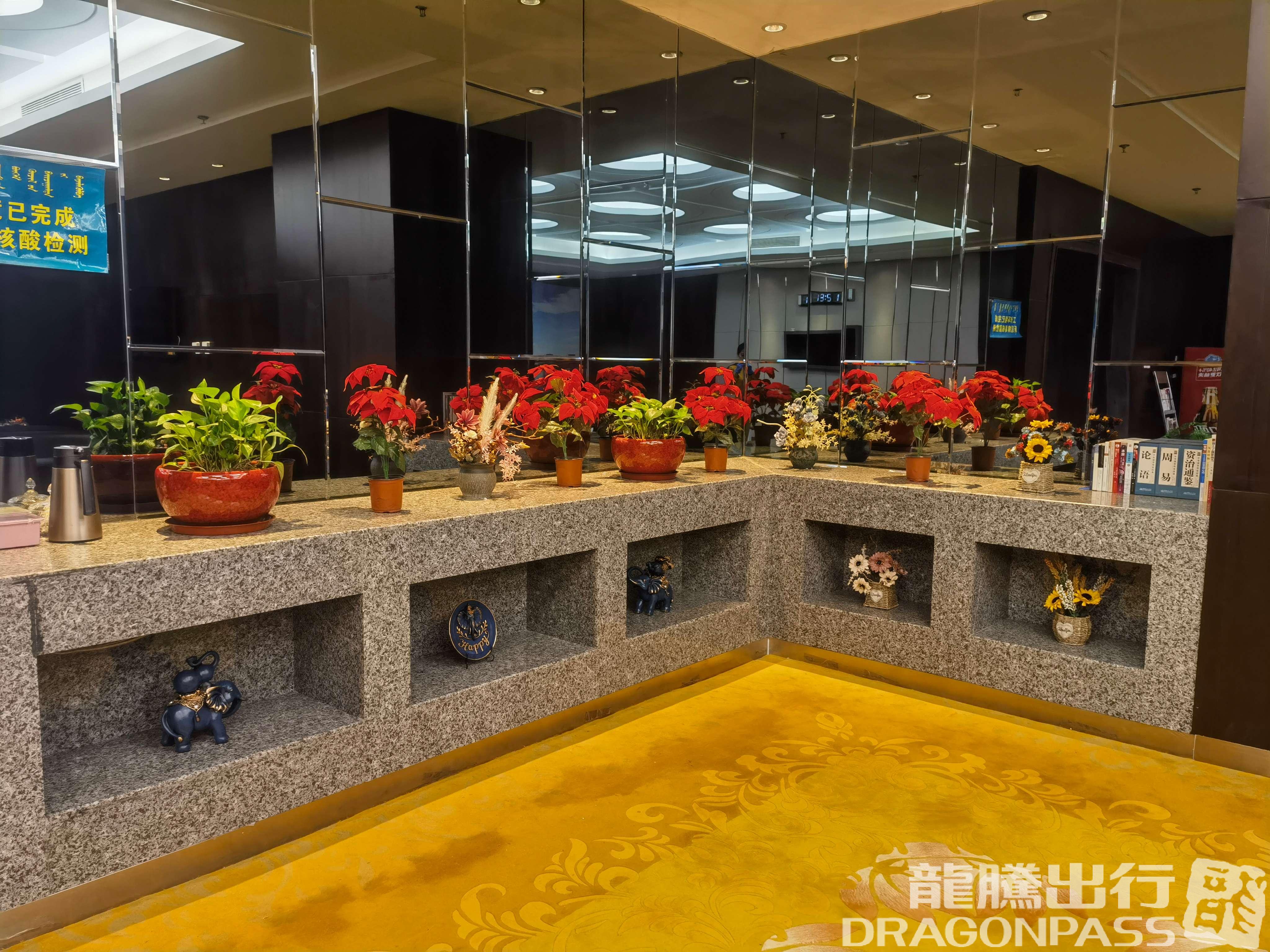 Бизнес-зал VIP Lounge в аэропорту Аэропорт Уланчаб (UCB)