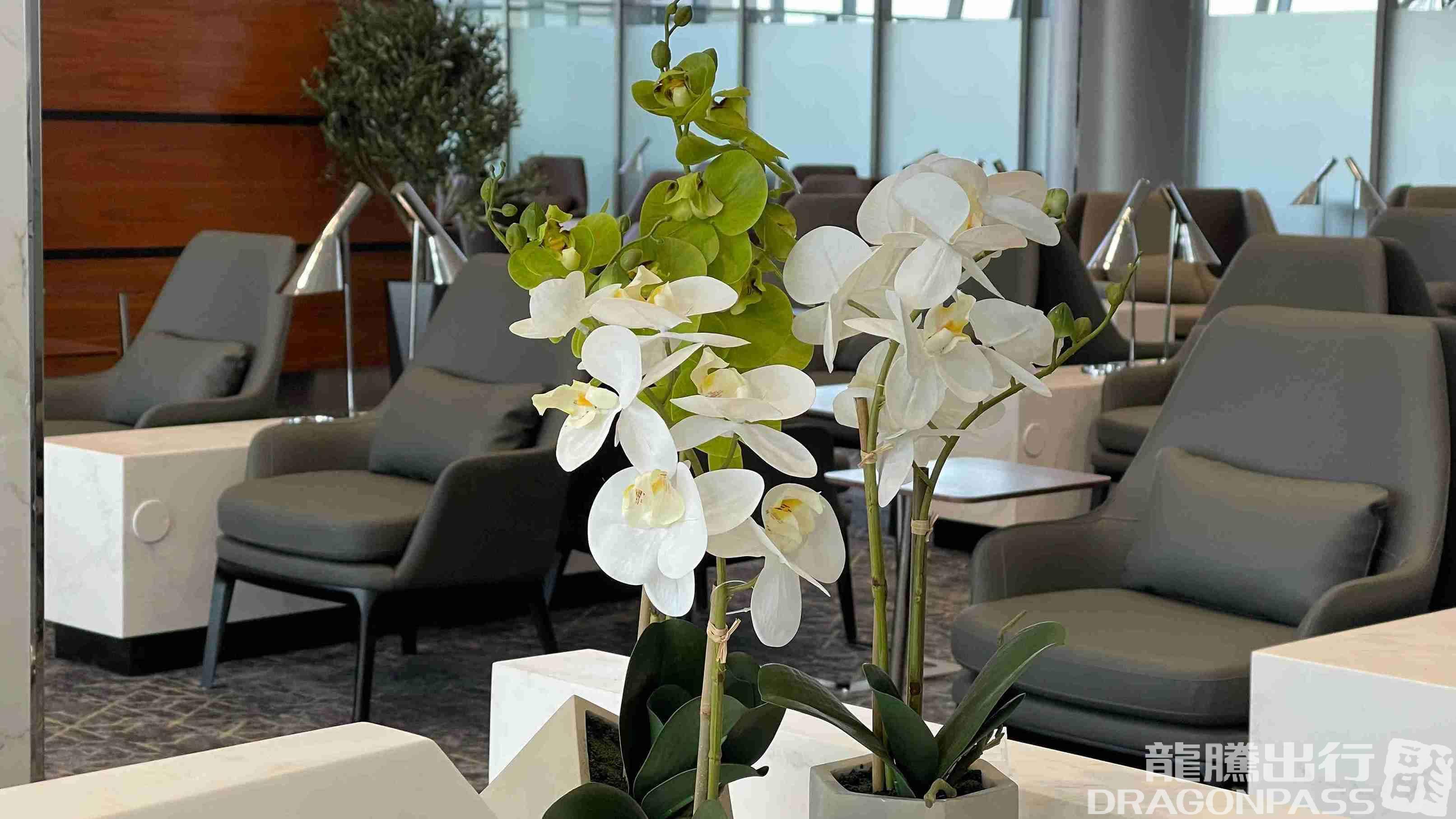 Бизнес-зал Hayyak Lounge в аэропорту Табук (TUU)
