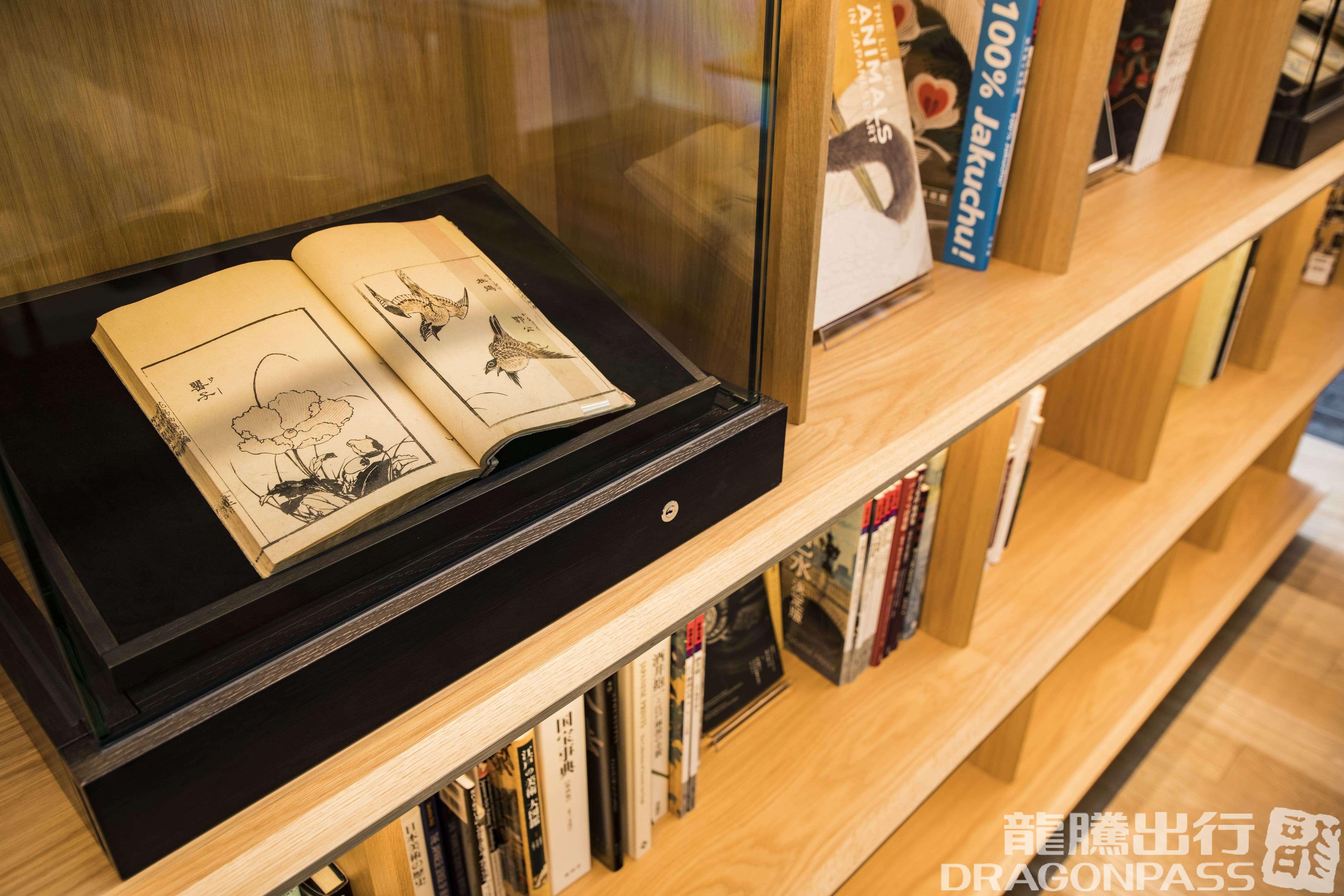 Бизнес-зал CAFÉ SKY LIBRARY в аэропорту Титосэ (CTS)