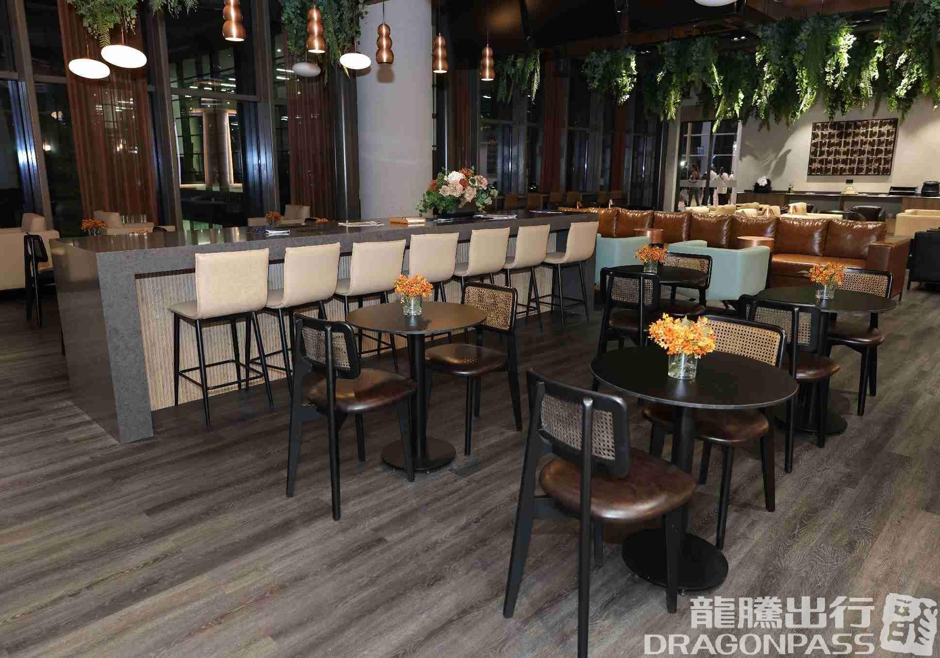 Бизнес-зал Platinum Lounge (Domestic) в аэропорту Covilha Airport (COV)