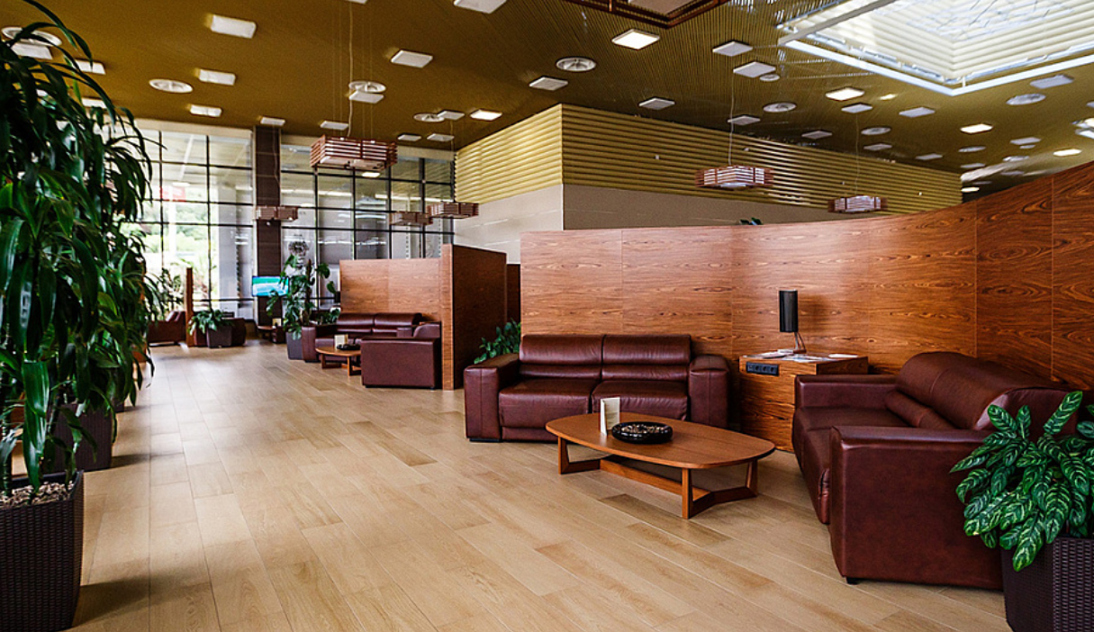 VIP-зал VIP-терминал в аэропорту Сочи (AER)