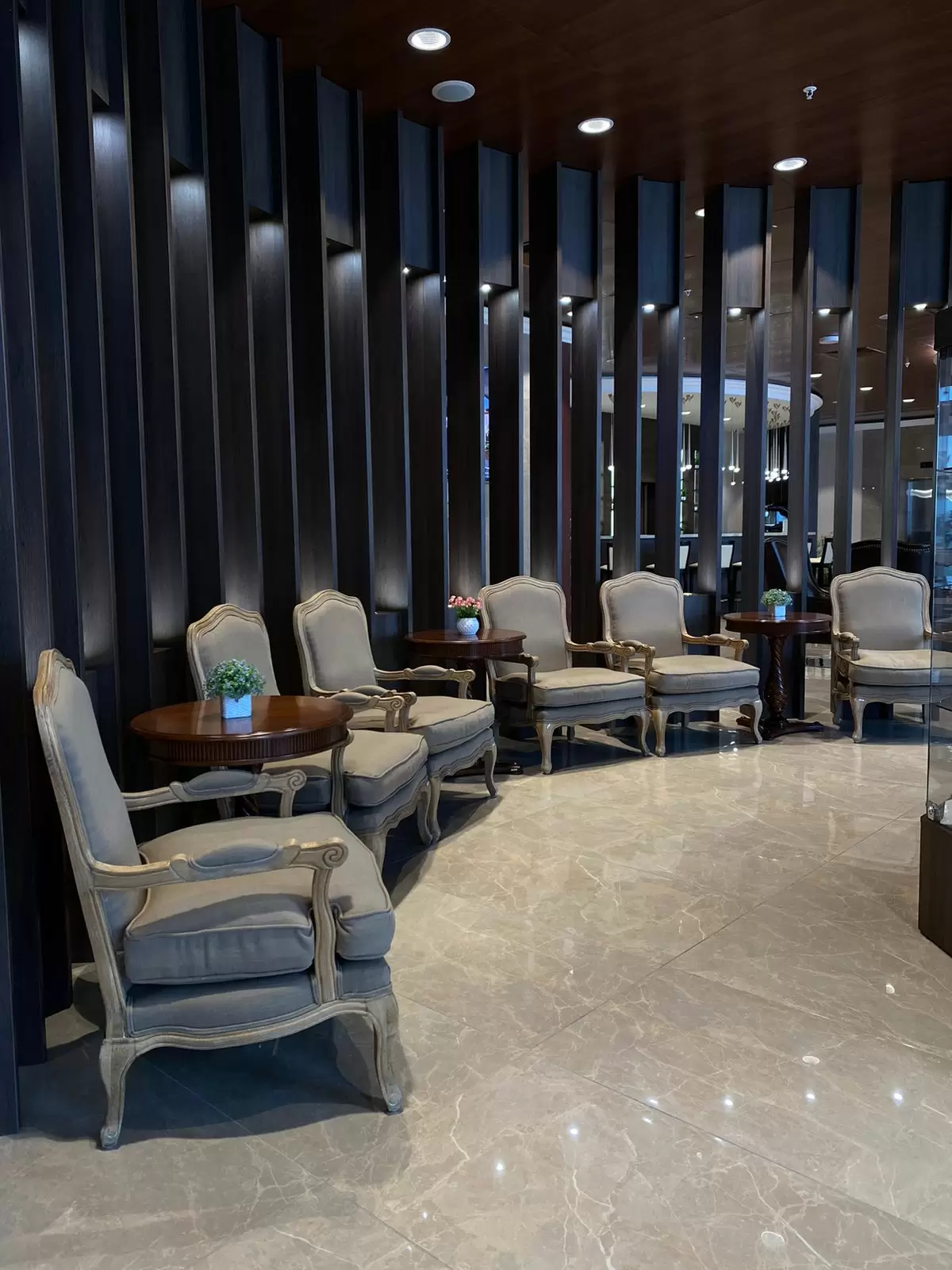 VIP-зал VIP-зал в аэропорту Челябинск (CEK)