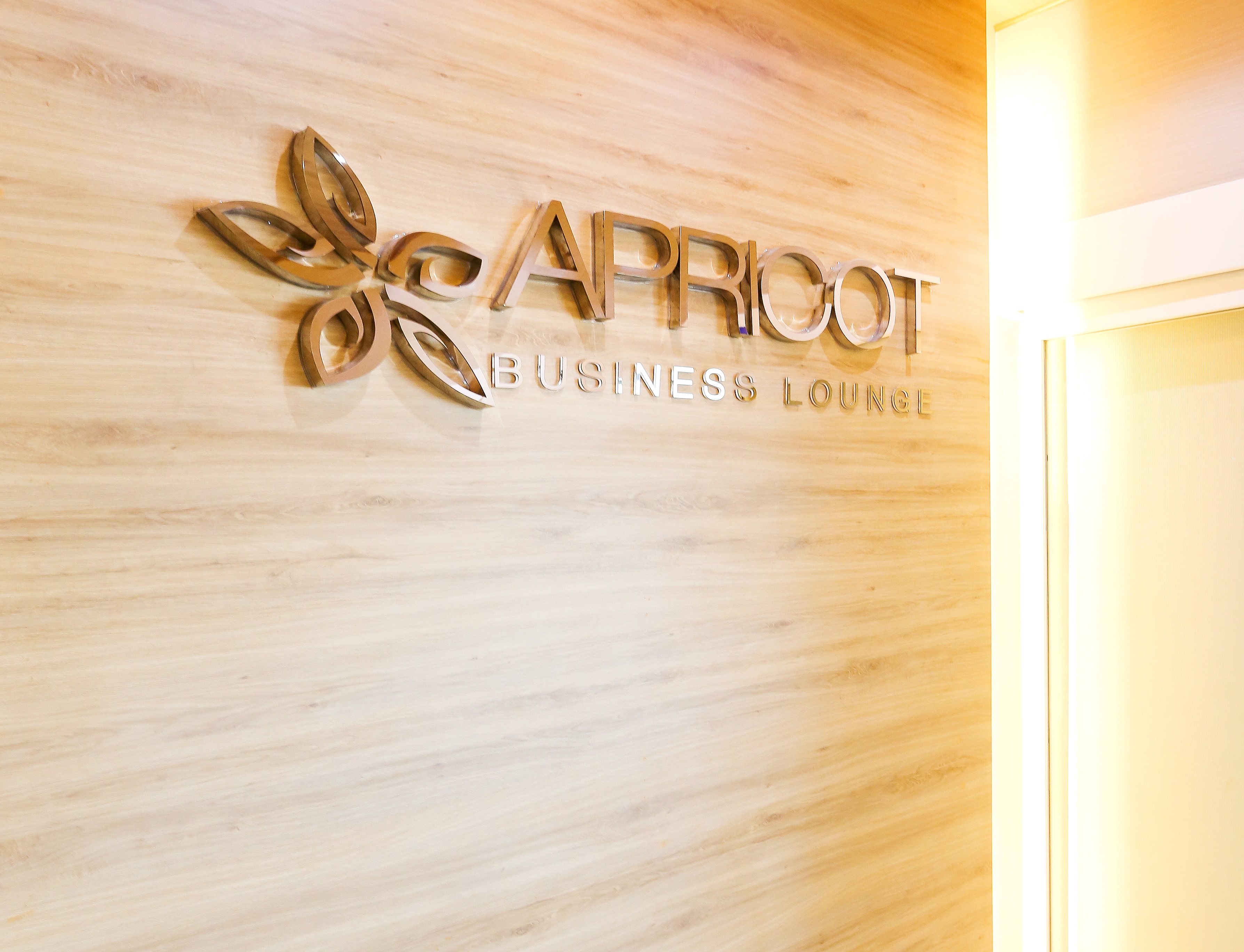 Бизнес-зал Apricot Business Lounge в аэропорту Хошимин (SGN)