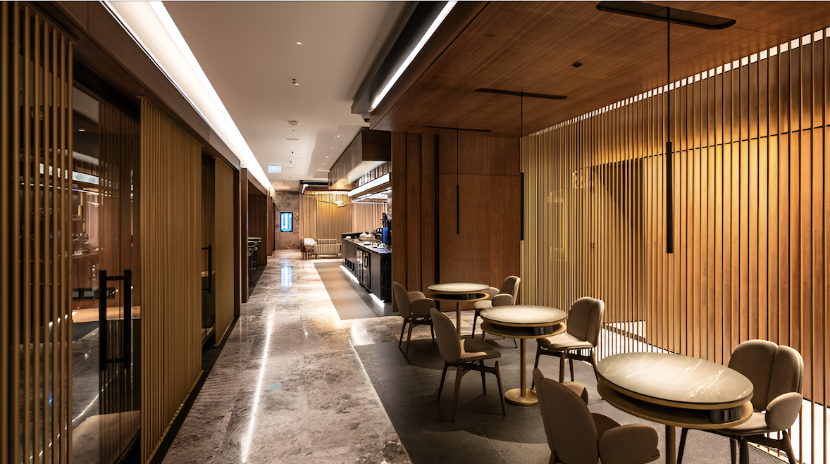 VIP-зал Meet & Greet + VIP Lounge в аэропорту Пистарини (EZE)