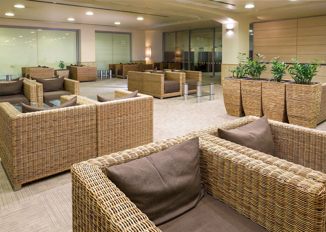 VIP-зал VIP-зал в аэропорту Домодедово (DME)