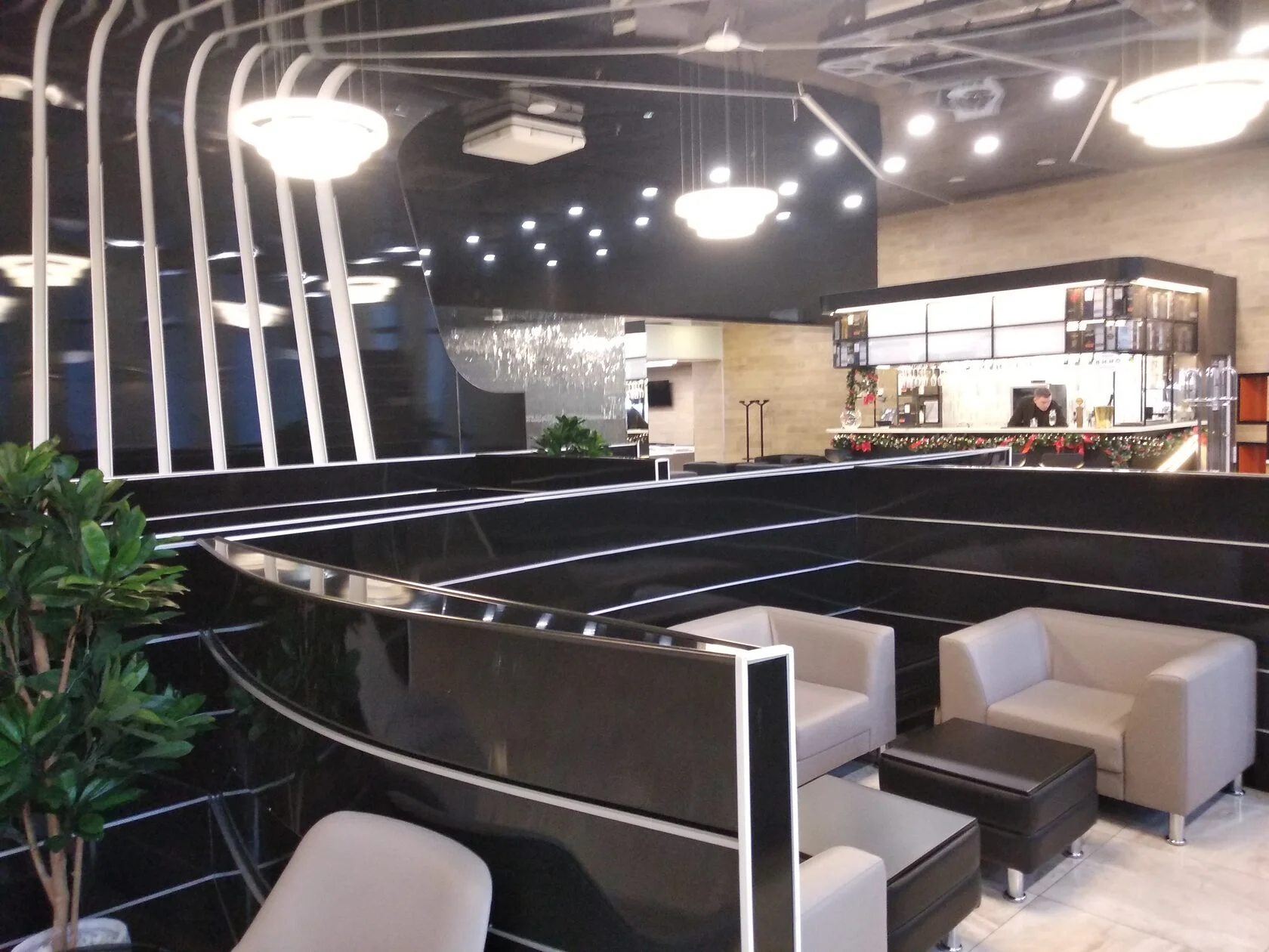Бизнес-зал Business Lounge в аэропорту Пулково (LED)