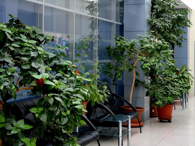 Бизнес-зал Business Lounge в аэропорту Д.М. Карбышев (OMS)